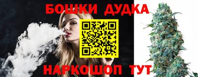 apvp Кингисепп