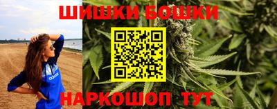 apvp Кингисепп