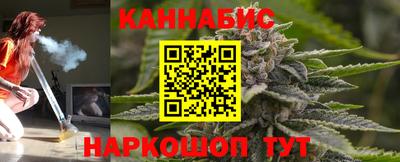 apvp Кингисепп