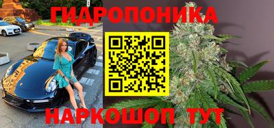 винт Кимры
