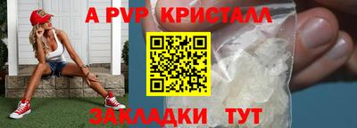apvp Кингисепп